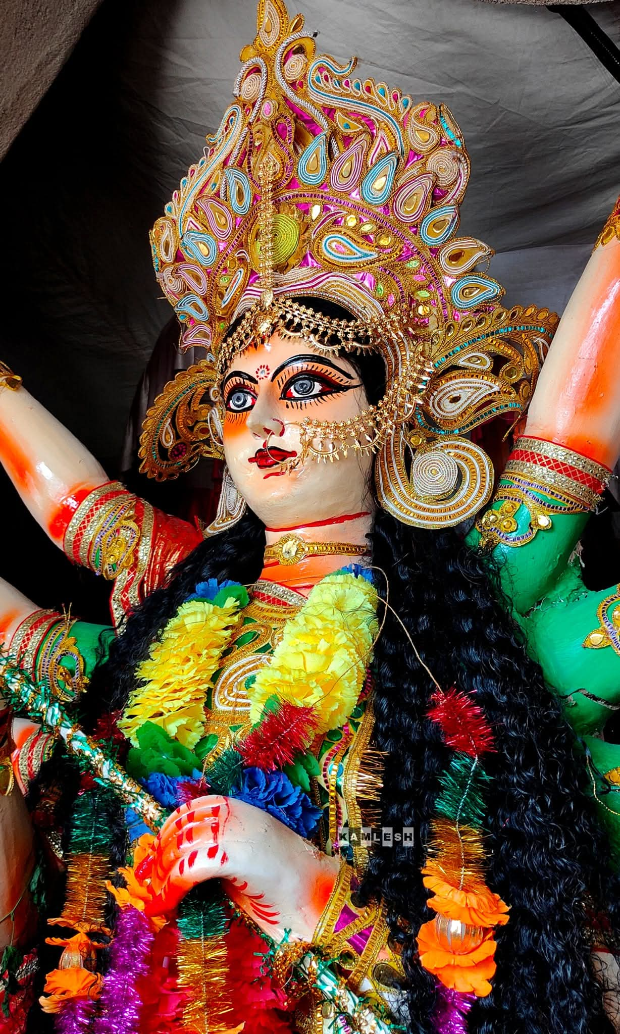 Durga Puja in Bhawanipur